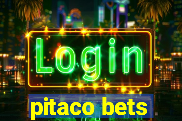 pitaco bets